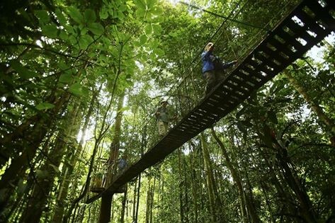 Fiestas Patrias movilizará 1,2 millones de turistas a nivel nacional