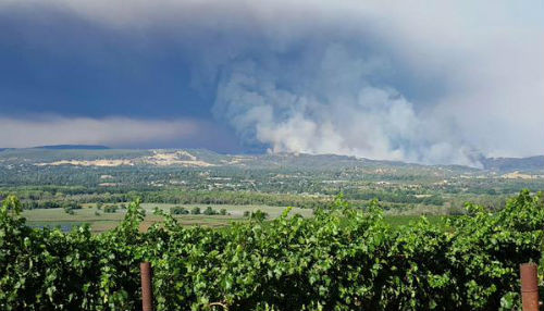 California: incendios forestales arrasan 134.000 hectáreas
