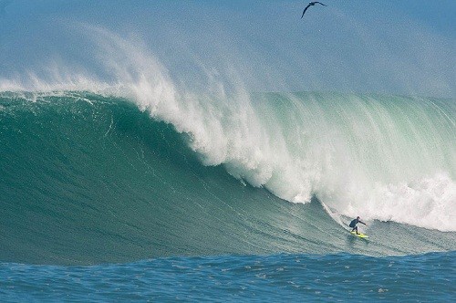 Martín Jerí y su gran ola nominada a los Premios Big Wave  2016