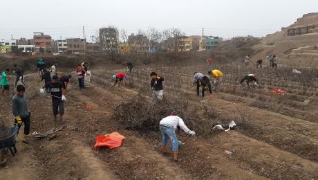 Ministerio de Cultura recupera área intangible en Zona Arqueológica Mateo Salado