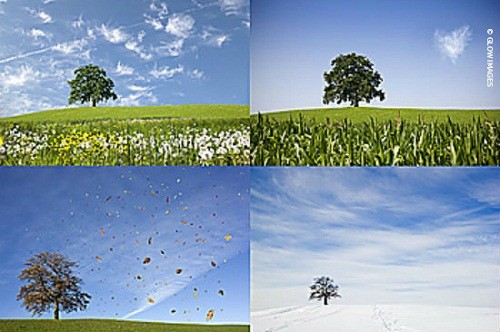 Cambio climático, cambio mental