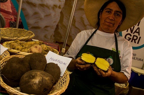 La ruta de la papa en El Gran Mercado de Mistura 2015