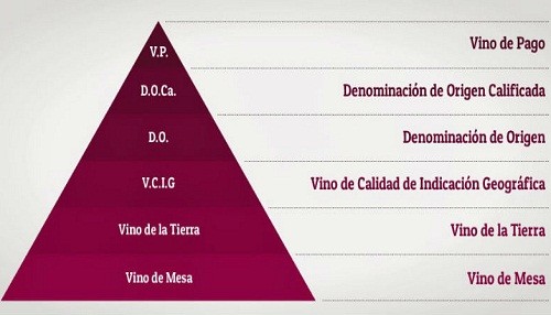 ¿Qué son los vinos de pagos?