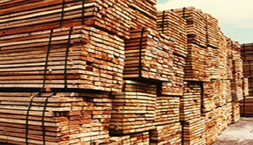 Madera peruana despierta interés entre los compradores europeos