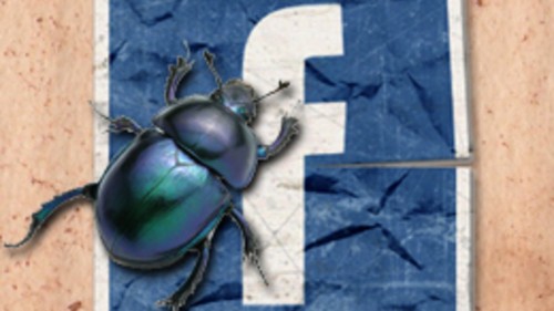 Facebook bug revela cuán popular eres en realidad