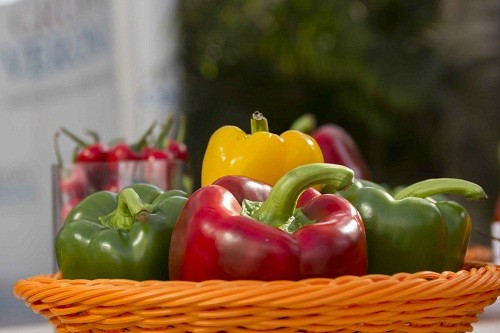 Exportadores requieren certificar producción de capsicum frescos