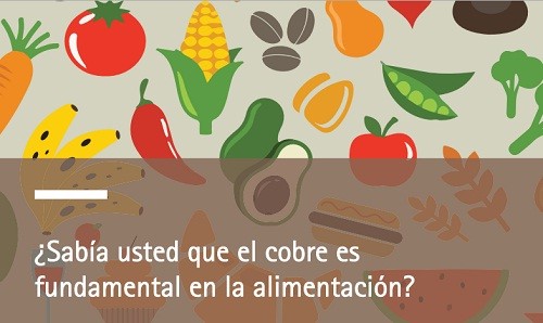 Día Mundial de la Alimentación:La importancia del cobre en la dieta diaria