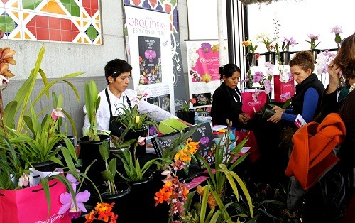 XI Exposición Internacional de Orquídeas vuelve a Miraflores para el disfrute de todos