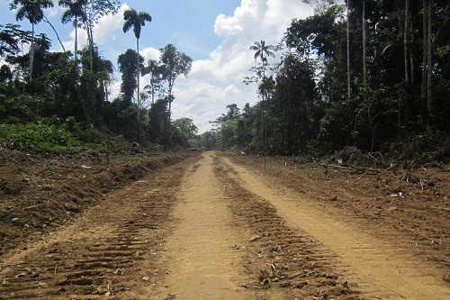 MINAM y SERNANP preocupados por aprobación de ley que declara de interés nacional carretera en zona de amortiguamiento