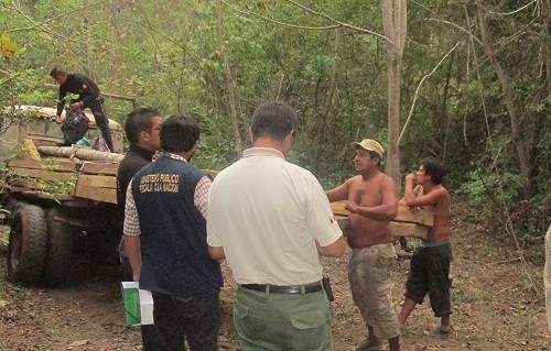 SERNANP: Un nuevo golpe contra la tala ilegal se da en el Parque Nacional Cerros de Amotape