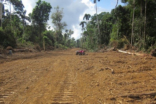 Gobierno Nacional observa  Ley sobre carretera que afecta a Parque Nacional del Manu, nuestra biodiversidad y la Constitución
