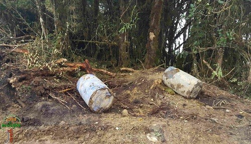 Construcción de vía carrozable sin certificación ambiental en zona de amortiguamiento del Parque Nacional Yanachaga Chemillén