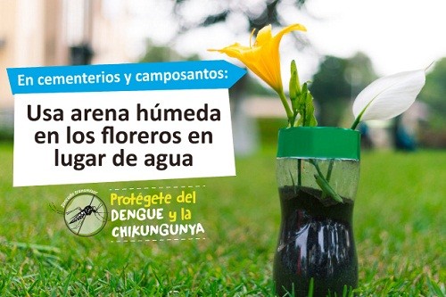 Ministerio de Salud refuerza campaña de fumigación en cementerios de Lima
