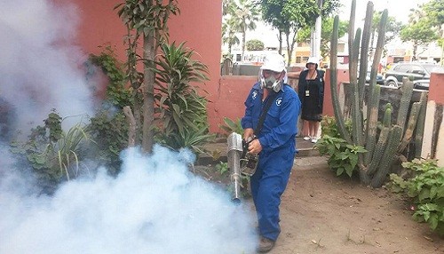 Diresa Callao realiza campaña de inspección sanitaria y fumigación contra virus del zika