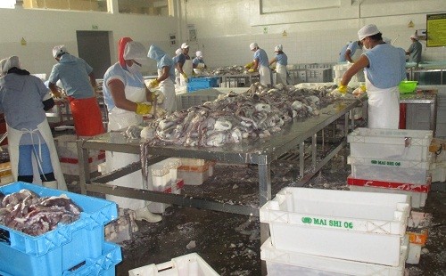 Perú cuenta con unas 200 plantas procesadoras de anchoveta para consumo humano