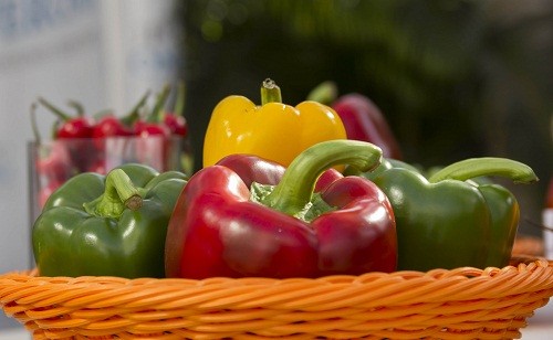 Adex estima que exportación de capsicum peruano crecerá 20% este año