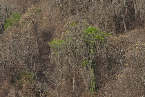 Perú y Ecuador establecerán primera Reserva de Biosfera binacional de Sudamérica