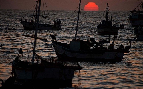 Senado y organizaciones civiles de EE.UU. respaldan propuesta de creación de zona reservada del Mar Pacífico Tropical Peruano