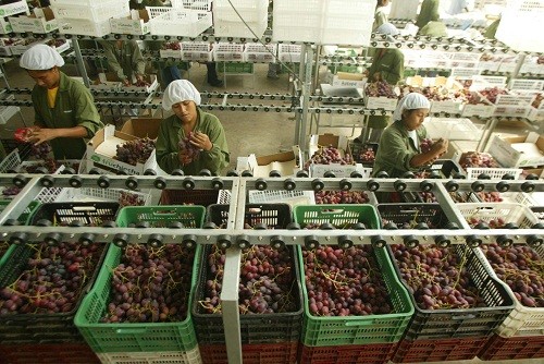 Exportaciones peruanas podrían retomar crecimiento el segundo semestre del año