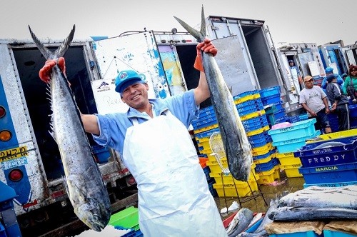 A Comer Pescado creará red nacional para promover consumo de pescado