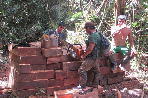 Exitoso megaoperativo da duro golpe contra la tala ilegal en el Parque Nacional Sierra del Divisor