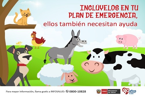 Minsa recomienda: Incluye a los animales en tus planes de emergencia