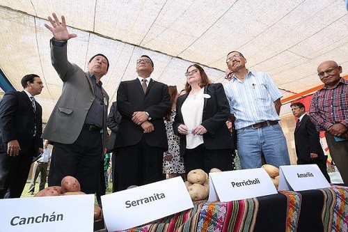 Se lanza el Día Nacional de la Papa con la meta de incrementar el consumo a 100 kilos por persona