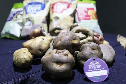 Exportación de papa nativa peruana creció 211% en últimos cinco años Exportación de papa nativa peruana creció 211% en últimos cinco años