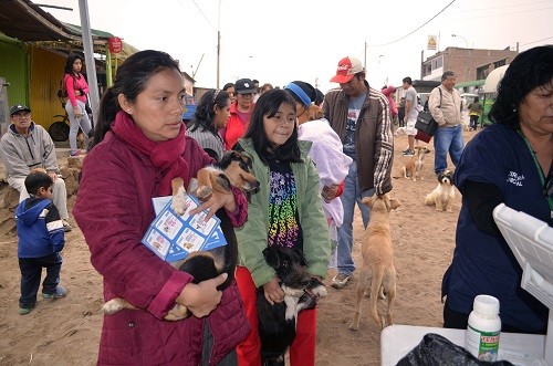 Mil 200 mascotas fueron desparasitadas durante campaña Perros felices sin lombrices