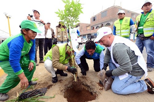 Más de 100 voluntarios de Arca Continental - Corporación Lindley sembrarán 700 árboles en Lima y Arequipa