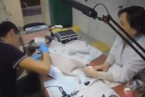 Sujeto hace tatuaje en el pecho de su gato (video)
