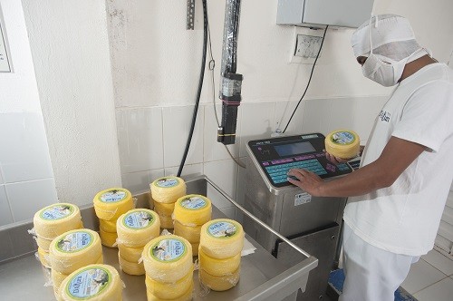 Planta de lácteos de Espinar acopia 17 mil litros por día beneficiando a más productores