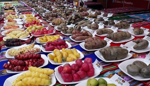 Invita Perú presenta el Museo de la Papa con 600 variedades de productos nativos