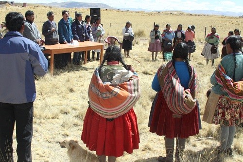 49 familias ya cuentan con cercas para mejorar pastos y crianza de animales en Chillque
