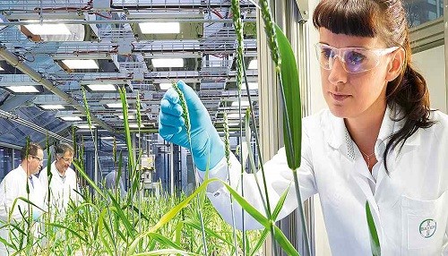 Bayer, una compañía con historia, que construye historias para Una Vida Mejor