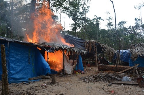 Balsas y campamentos mineros son destruidos en operativo conjunto contra minería ilegal en Reserva Nacional Tambopata