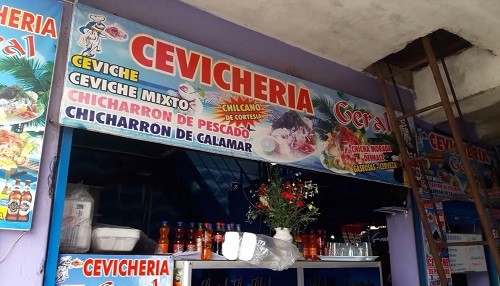 MDV clausura cevichería insalubre y veterinarias clandestinas en operativos de fiscalización