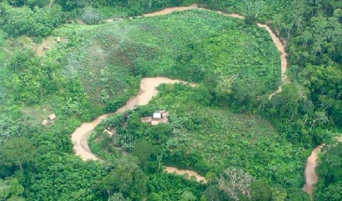 Pueblos indígenas de Brasil expresan rechazo a proyecto de carretera Iñapari  Puerto Esperanza
