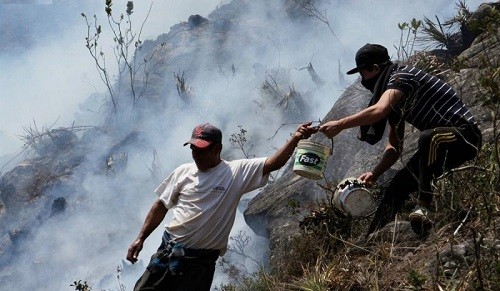 Intensifican trabajos para aplacar incendios forestales