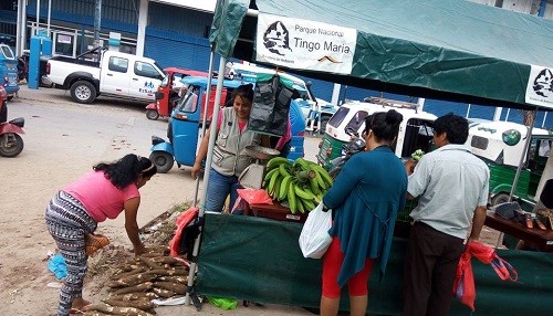 Feria agrícola en Huánuco ofrece productos de calidad del Parque Nacional Tingo María