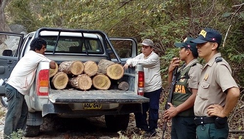 Intensifican operativos contra tala ilegal en el Parque Nacional Cerros de Amotape