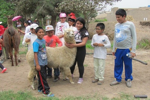 Se inician inscripciones para taller gratuito Santuario Pachacamac