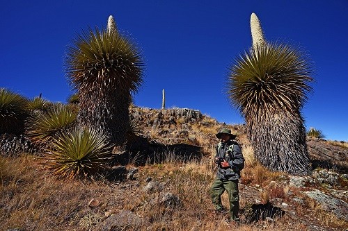 Por qué el Santuario y Reserva Nacional de Calipuy son los nuevos atractivos turísticos en la Libertad