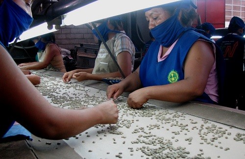 Menestras y legumbres peruanas pueden posicionarse en el exterior