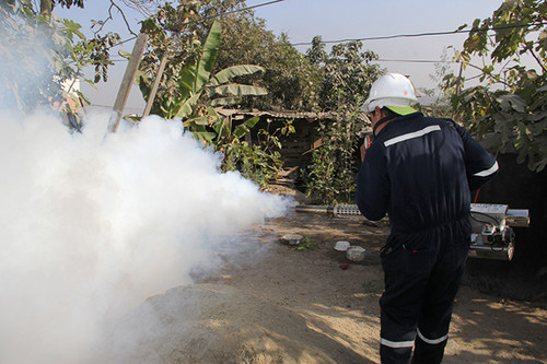 Más de 4000 viviendas son fumigadas en zonas afectadas por fenómenos naturales