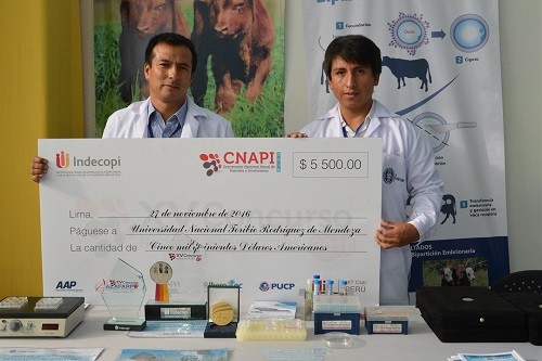 En el Perú ya se clonan bovinos y se mide la calidad de la fibra de los animales