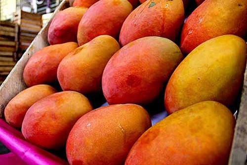 Tubérculos y frutas experimentan baja de precios en mercados mayoristas