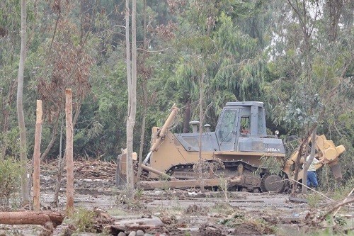 Municipalidad de Lima trabaja en apoyo a Pachacámac ante crecimiento del río Lurín