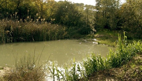 España sigue incumpliendo las Directivas europeas en materia de aguas