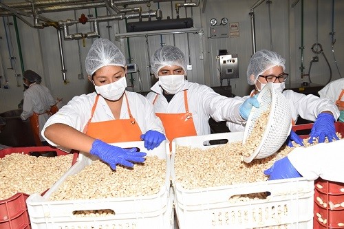 USIL procesa alimentos nutritivos para damnificados por huaicos e inundaciones